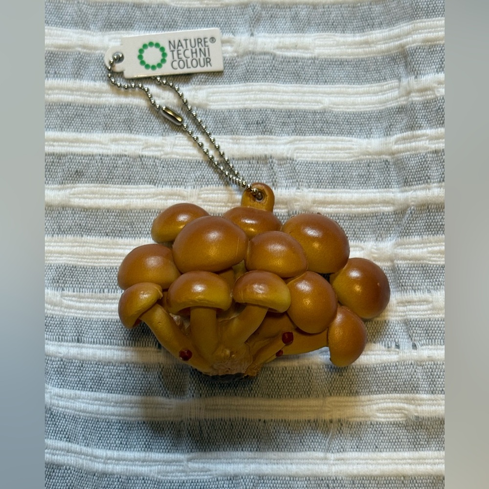 Nature Techni Colour Mushroom Keychain Blind Box - Opened